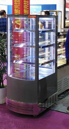 Industrial Freezer Showcase