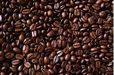 Roasted Robusta Coffee Beans