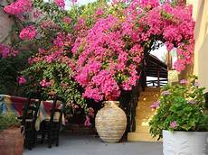 Aegean Coffee