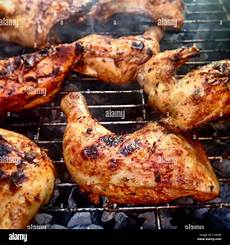 Chicken Griller