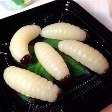 Coffee Candies