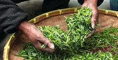 Coffee Processing Plant