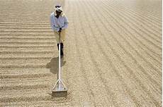Coffee Seed Drying