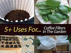 Coffee Seed Drying