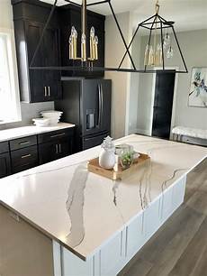 Counter and Showcases