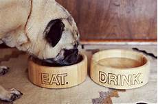 Drinking Bowls