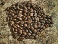 Excelsa Coffee