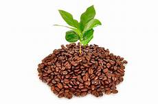 Ground Coffee