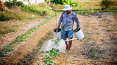 Organic Coffee