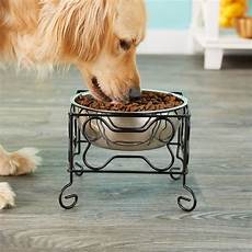 Pet Bowl