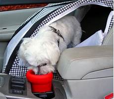 Pet Bowl