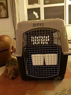 Pet Water Bowls