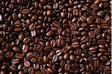 Roasted Coffee Bean