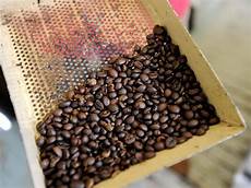 Roasted Coffee Bean