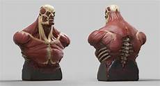 Showcase Bust