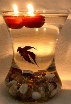 Water Bowl