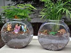 Water Bowls